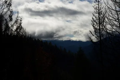 DSC_0878 (Large).JPG